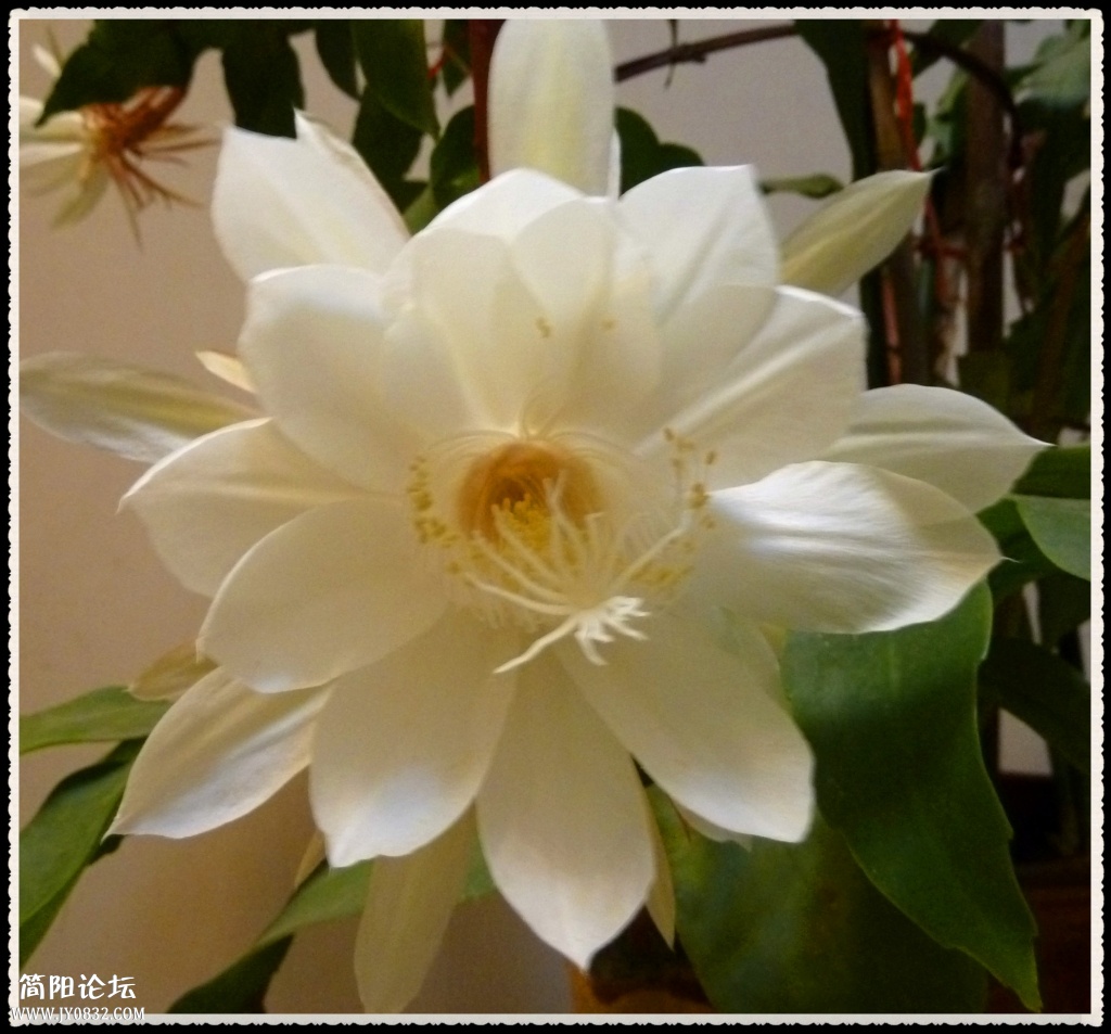 P1110988_副本.jpg