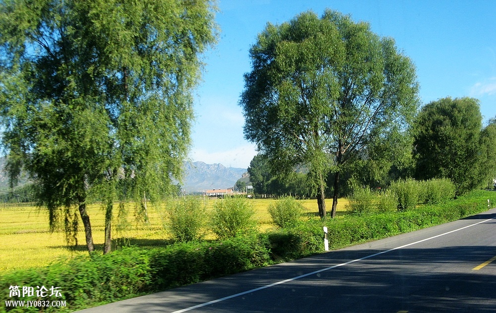 IMG_5750.jpg