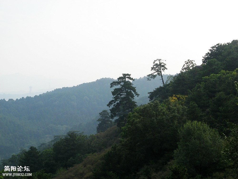 IMG_5596.jpg