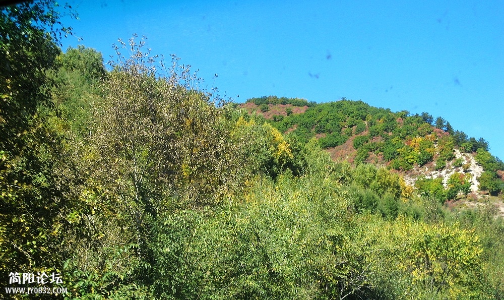 IMG_5777.jpg