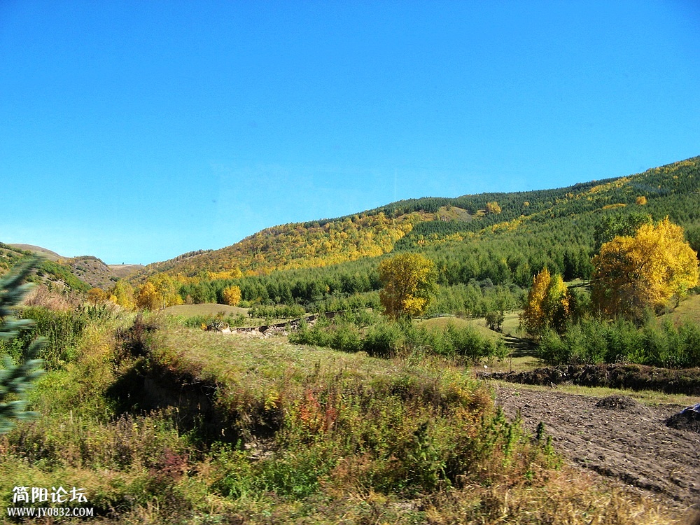 IMG_5789.jpg