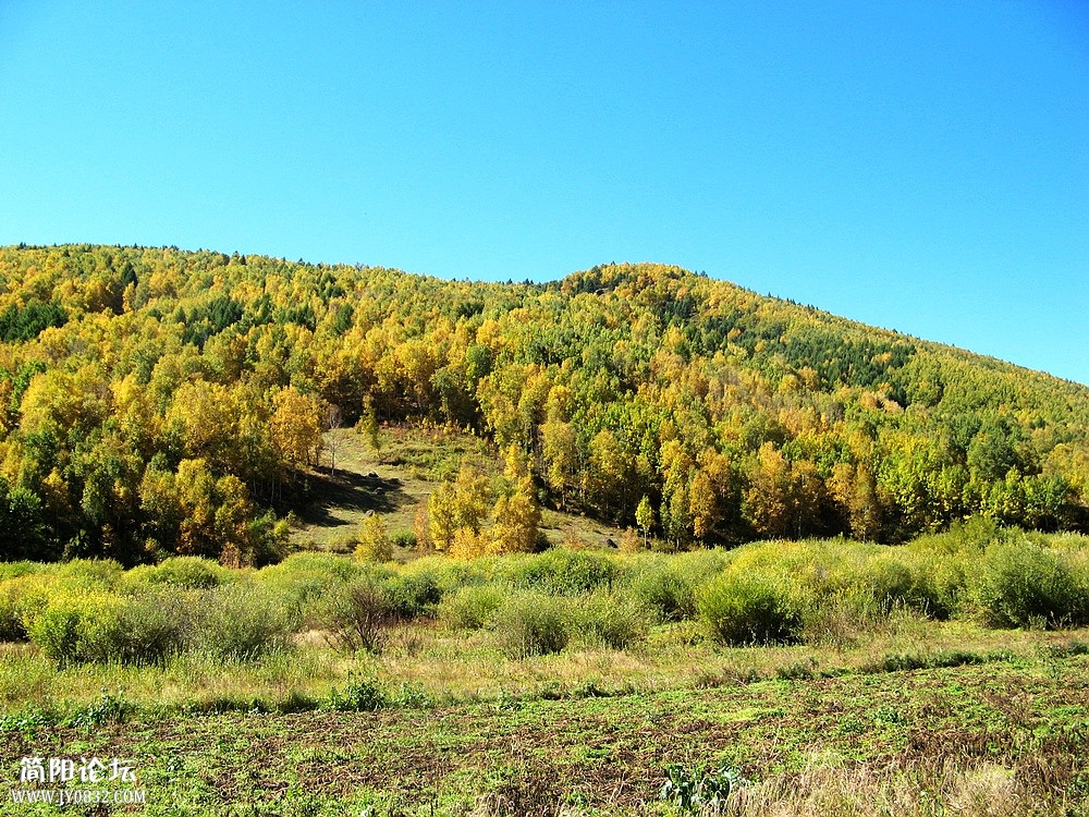IMG_5790.jpg