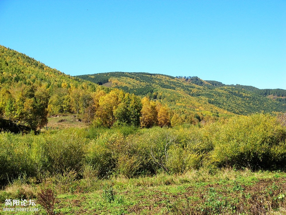 IMG_5793.jpg