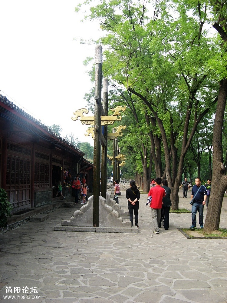 IMG_5615.jpg