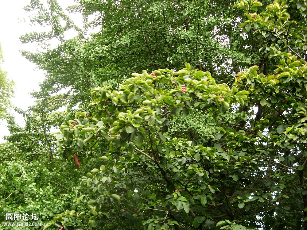 IMG_6509.jpg