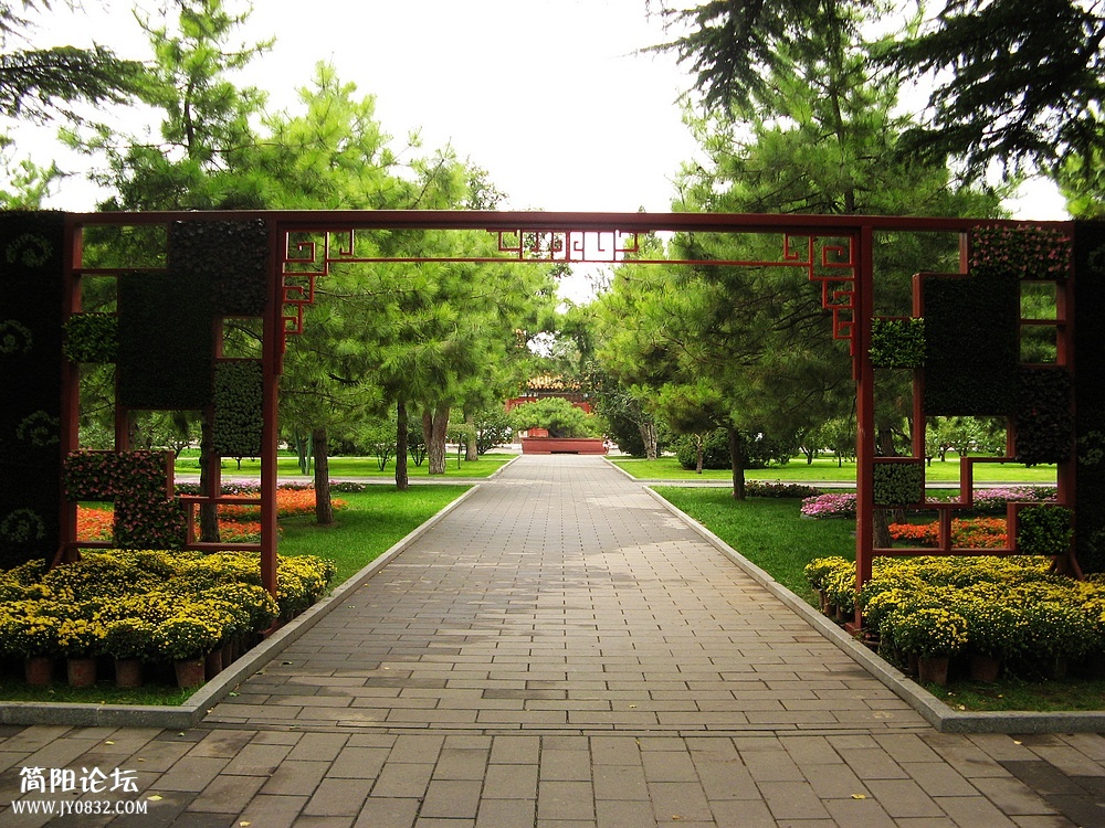 IMG_6513.jpg