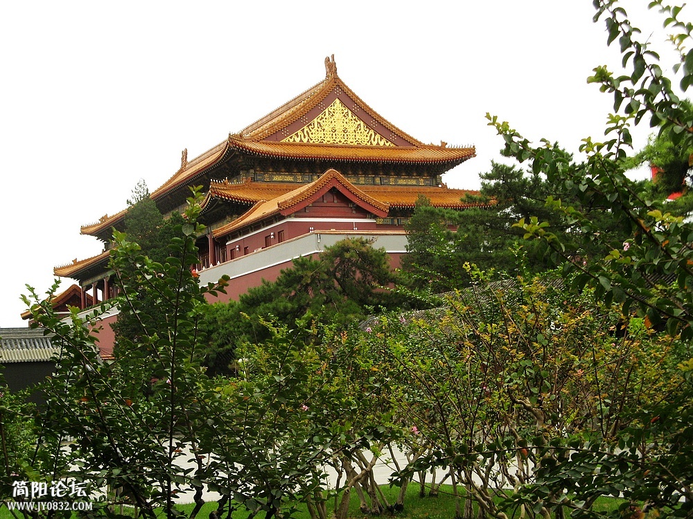 IMG_6529.jpg