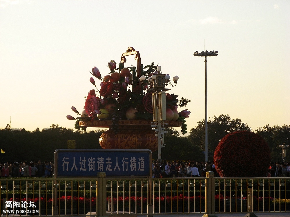 IMG_8391.jpg