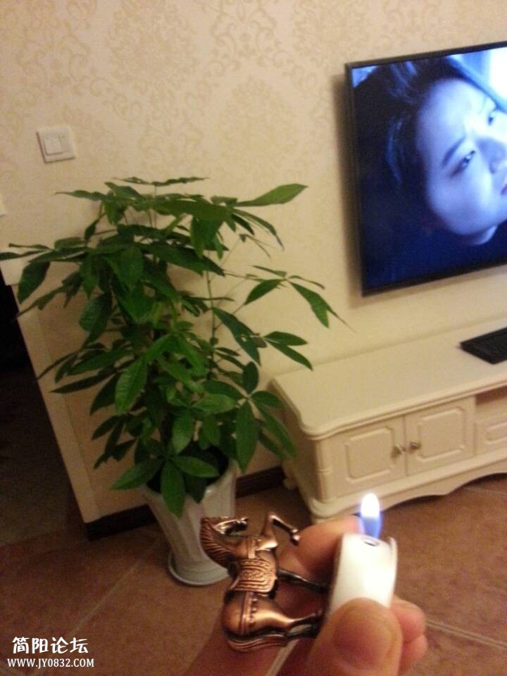 QQ图片20131004123921.jpg