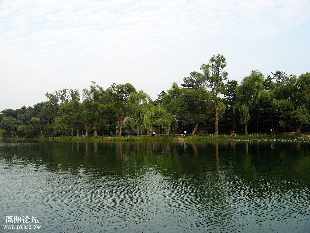 IMG_5637.jpg