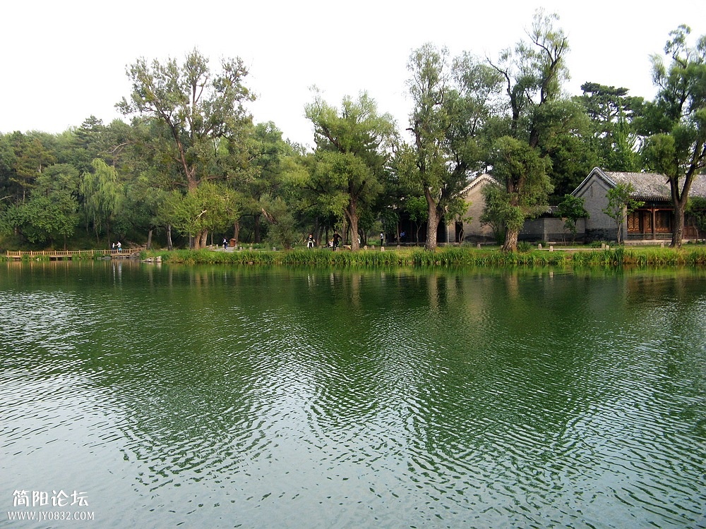 IMG_5638.jpg