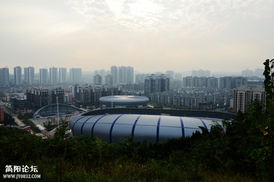 DSC_1981_副本_副本.jpg