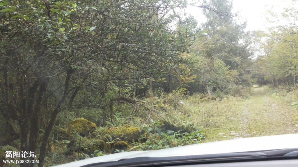 20131005_105834.jpg