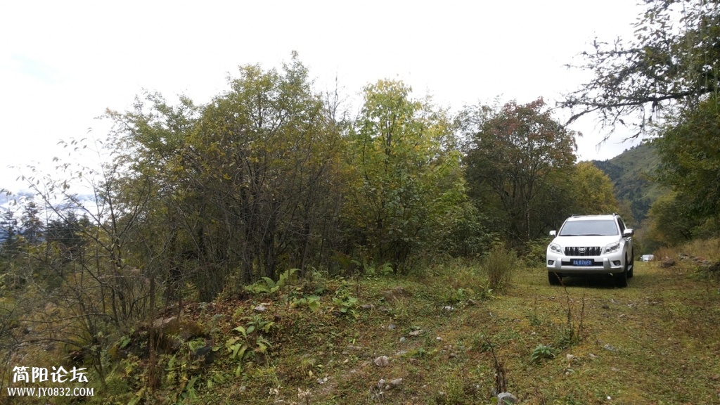 20131005_110157.jpg