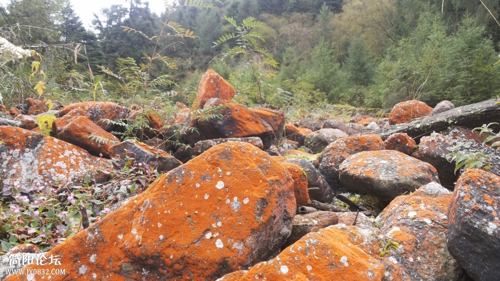 20131005_110639.jpg