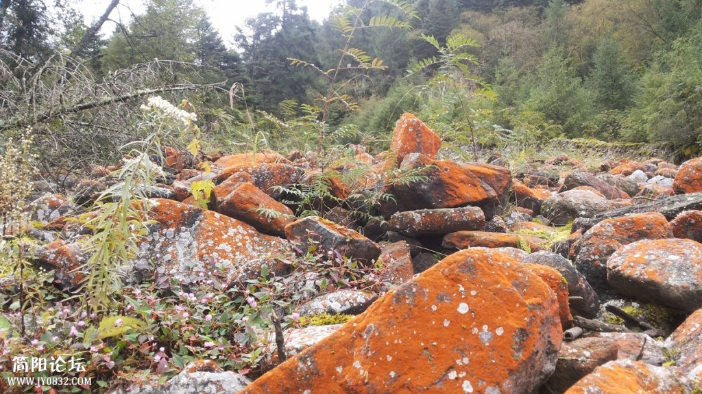 20131005_110648.jpg