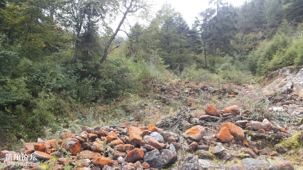 20131005_110718.jpg
