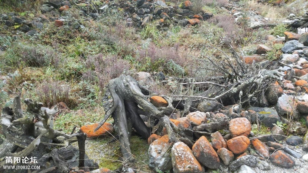 20131005_110943.jpg