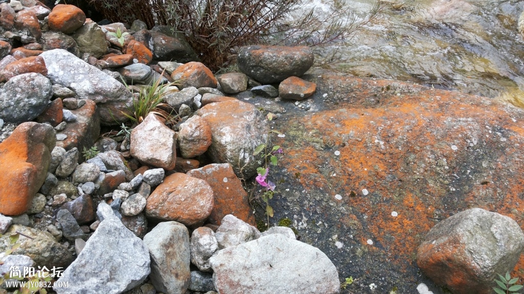 20131005_111030.jpg