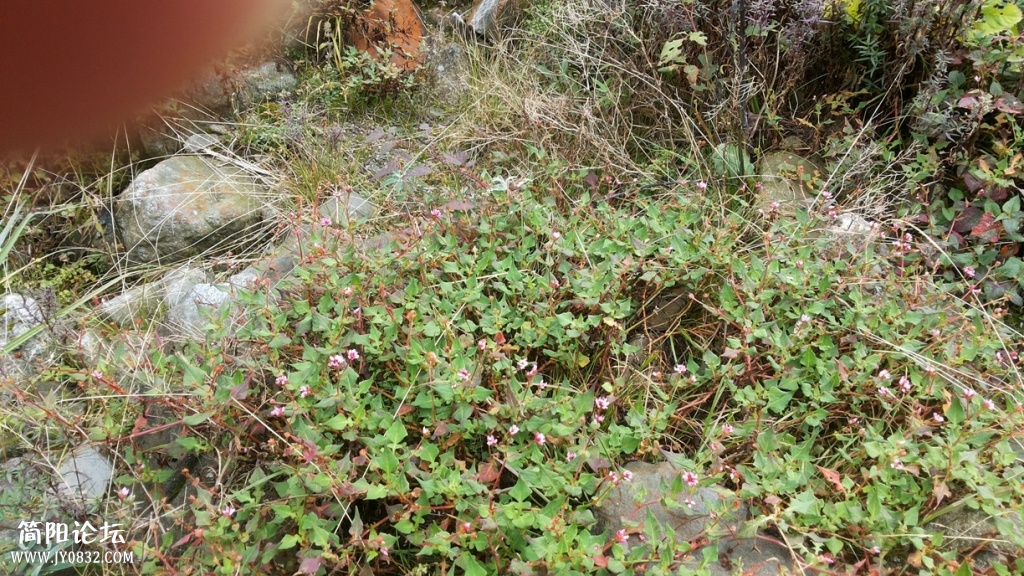 20131005_111054.jpg
