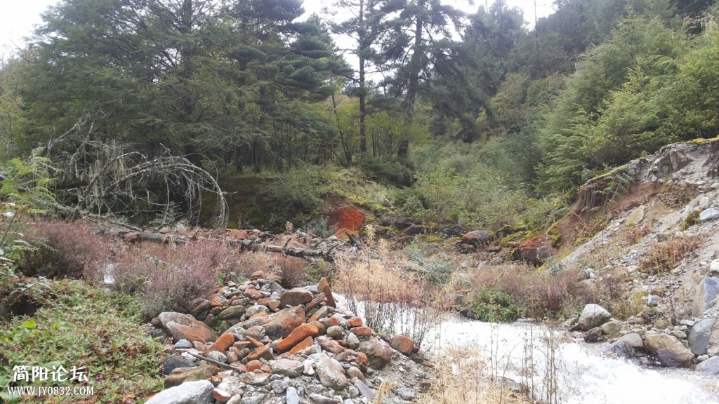 20131005_111131.jpg
