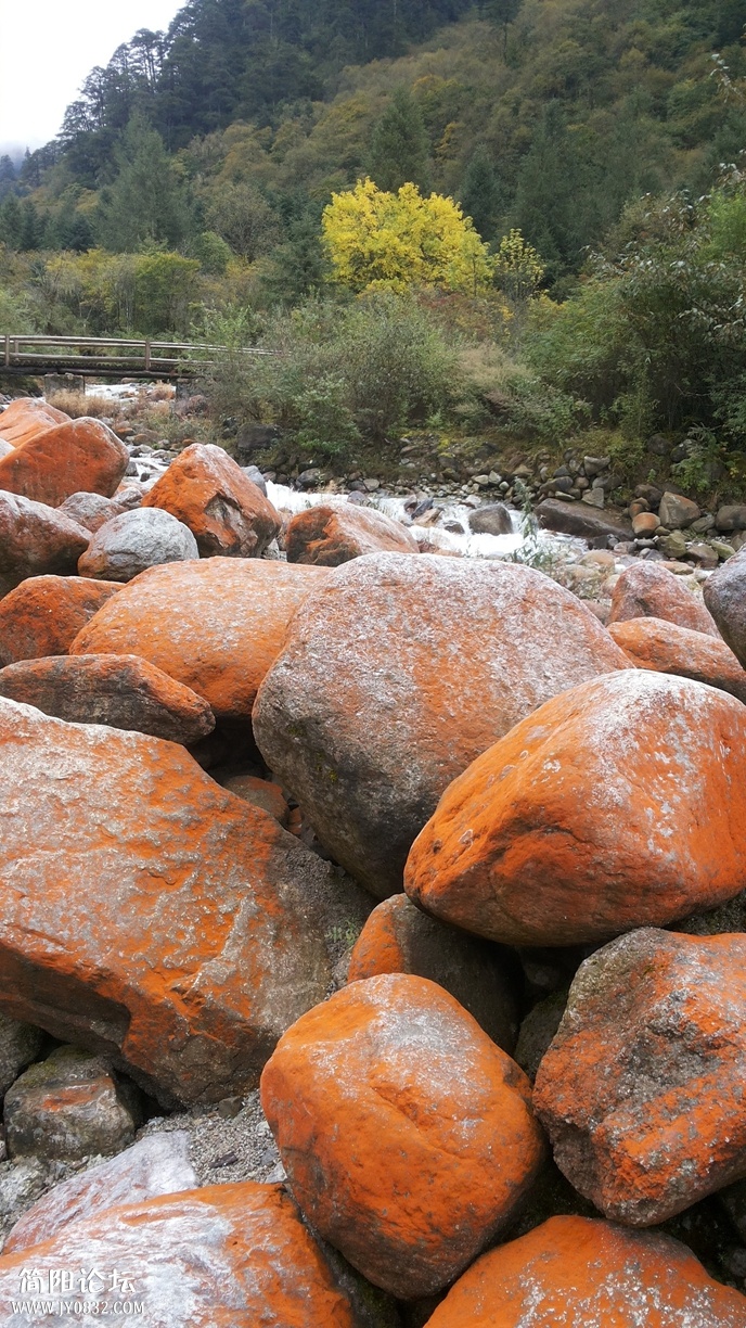 20131005_113417.jpg