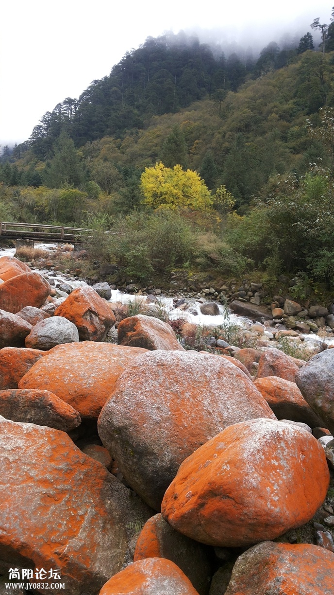 20131005_113429.jpg