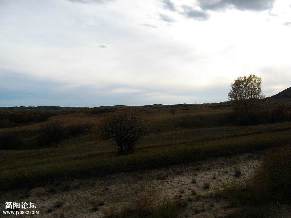 IMG_5973.jpg