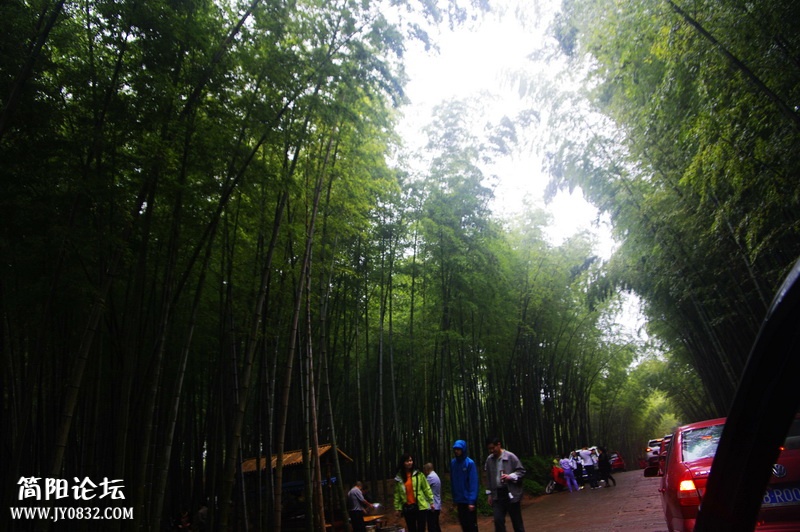 _IGP5642_副本.jpg