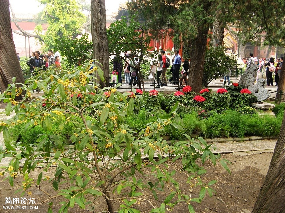 IMG_7812.jpg