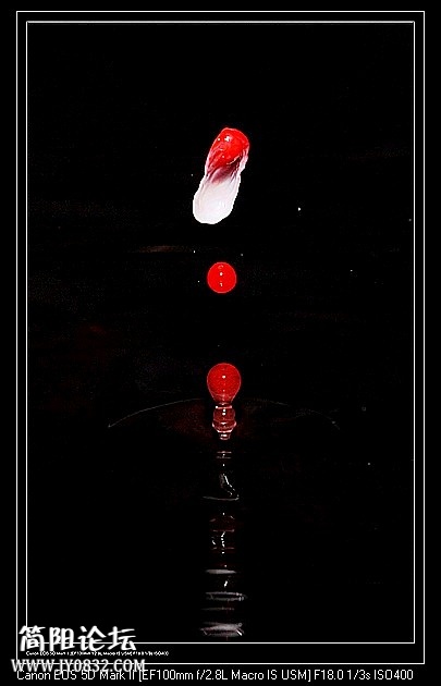 nEO_IMG_IMG_2398a.jpg