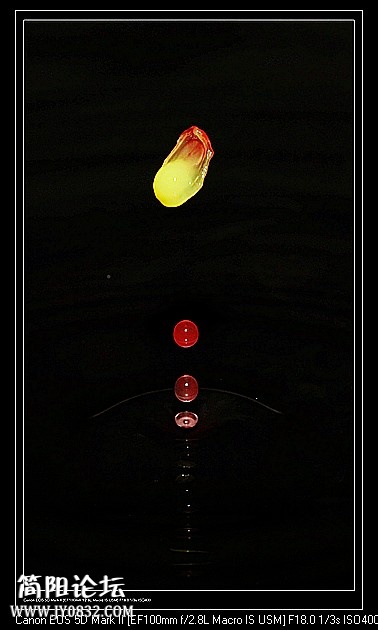 nEO_IMG_IMG_3798a.jpg