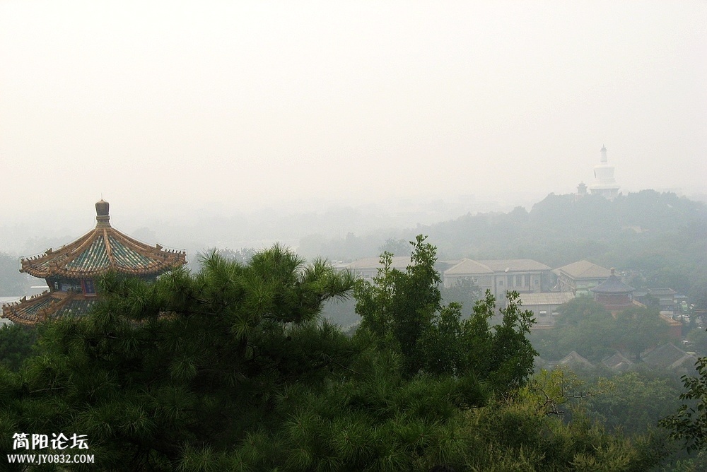 IMG_7854.jpg