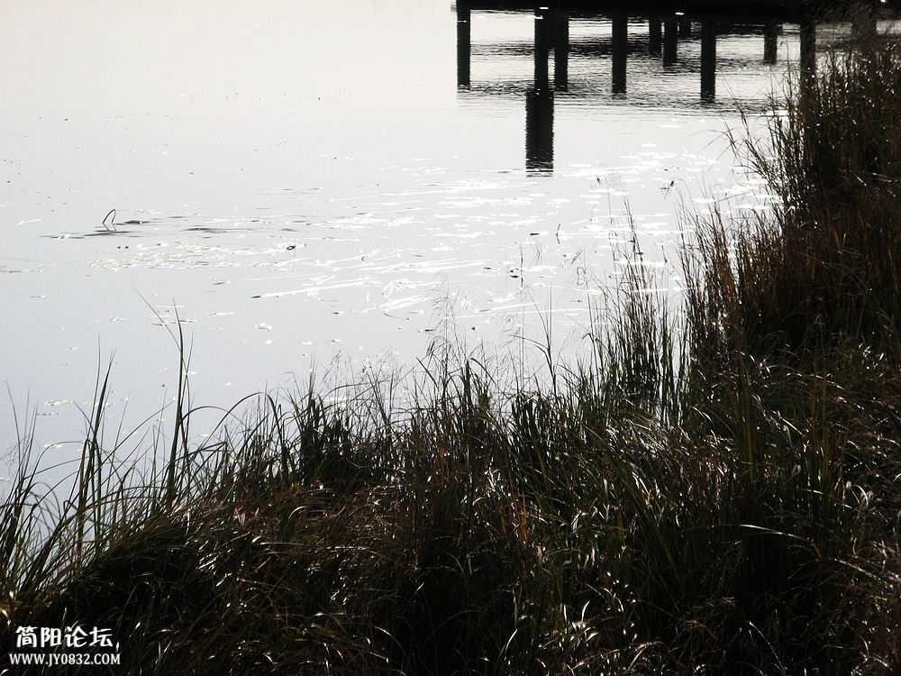 IMG_6130.jpg