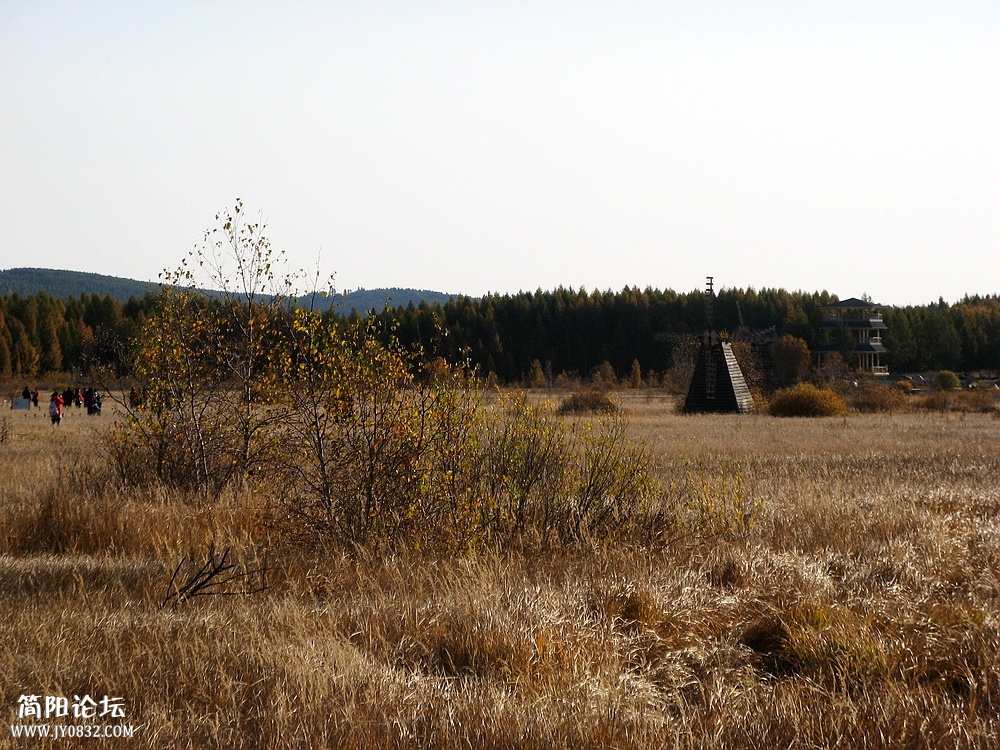 IMG_6137.jpg