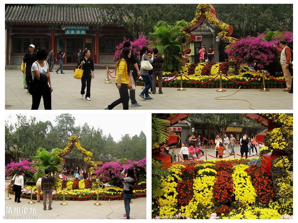 花卉4.jpg