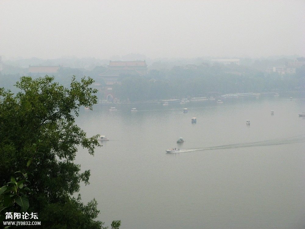 IMG_7907.jpg