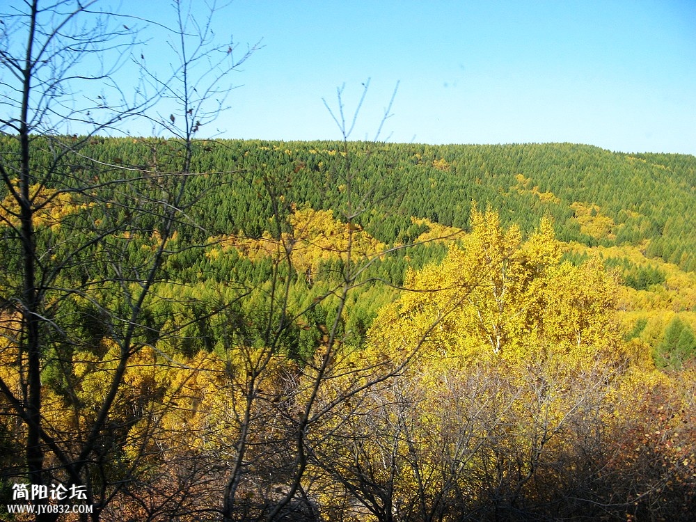 IMG_6147.jpg