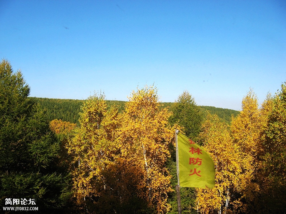 IMG_6152.jpg