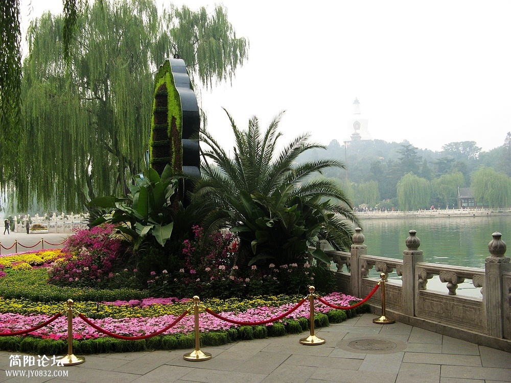 IMG_7970.jpg