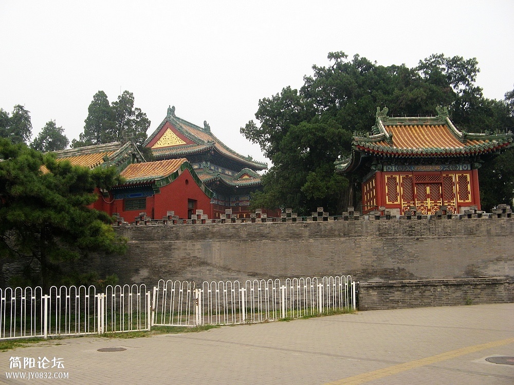 IMG_7974.jpg