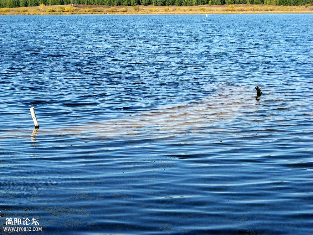 IMG_6189.jpg