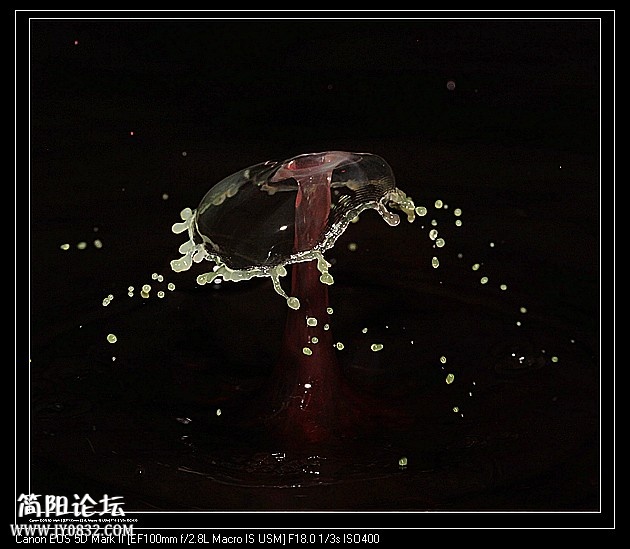 nEO_IMG_IMG_0364a.jpg