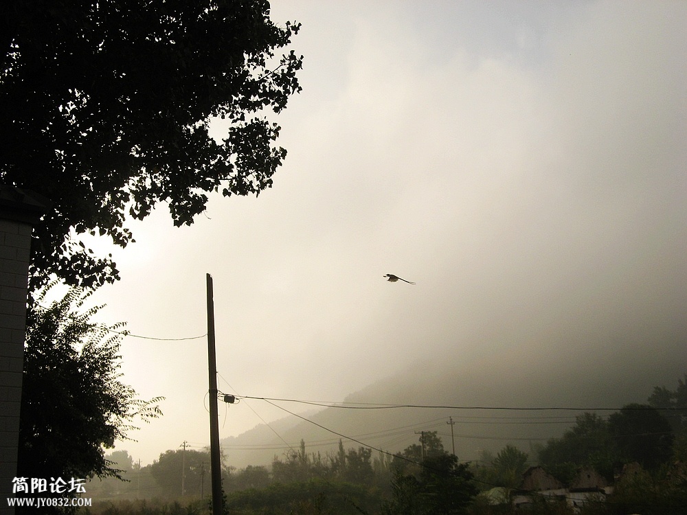 IMG_5736.jpg