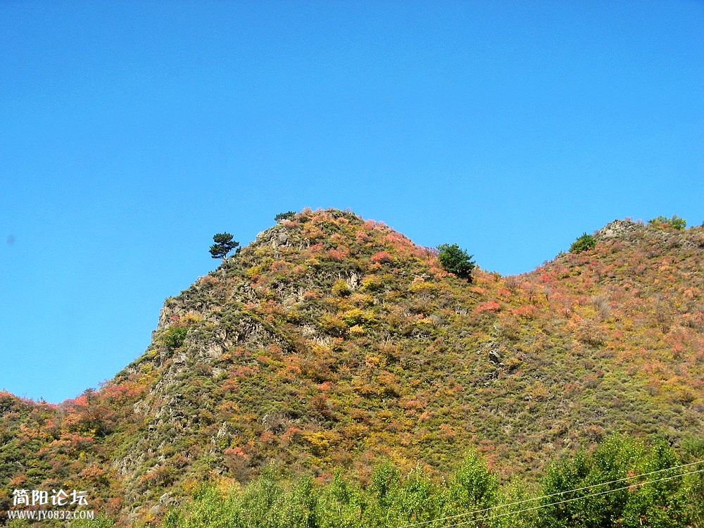 IMG_6233.jpg