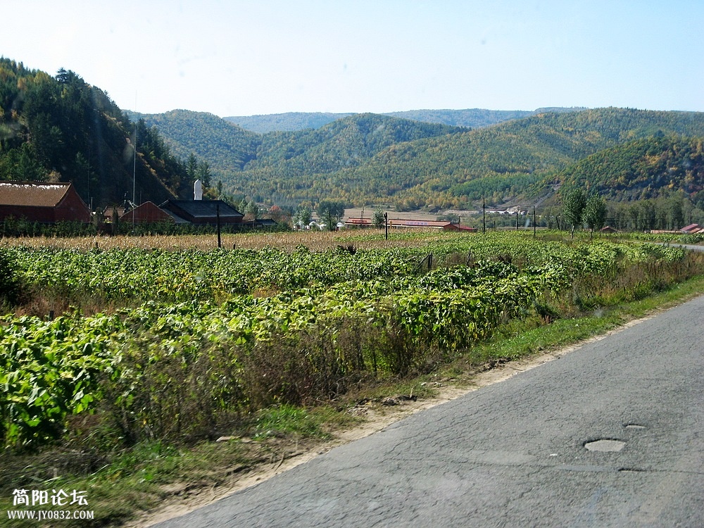 IMG_6239.jpg
