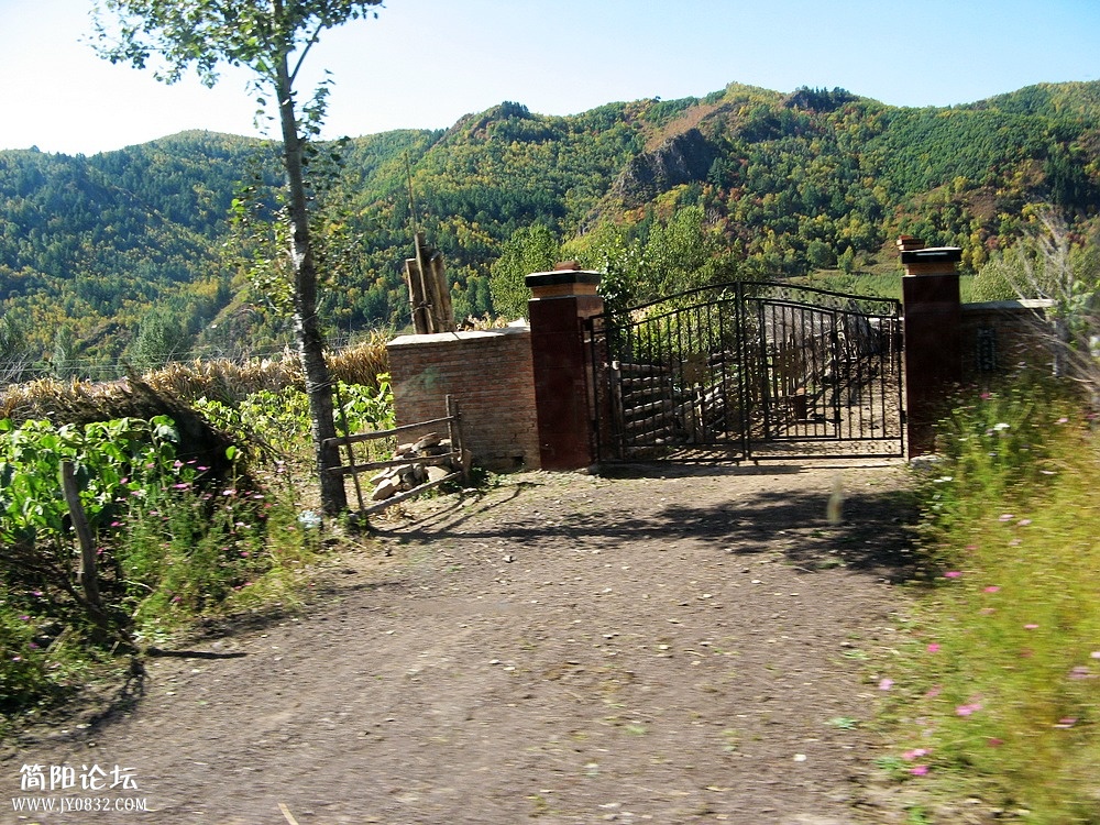 IMG_6245.jpg