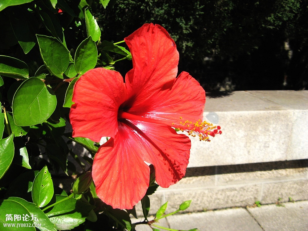 IMG_6964.jpg