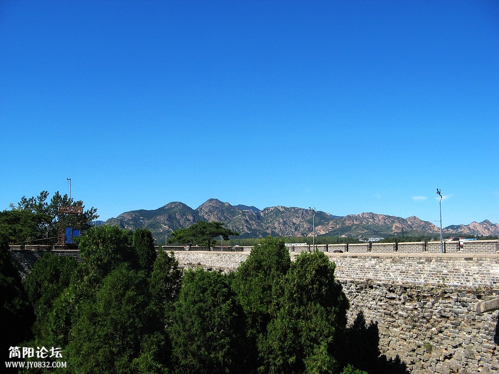 IMG_6995.jpg