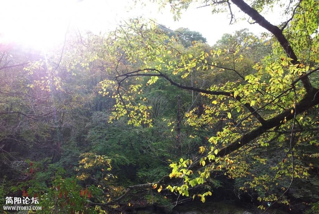 20131019_092152.jpg
